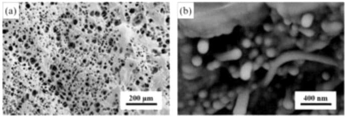 Today’s patent – Method For Preparing Carbon Nanotube/Polyacrylic Acid Hydrogel